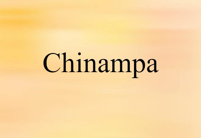 Chinampa (noun) Definition, Meaning & Examples