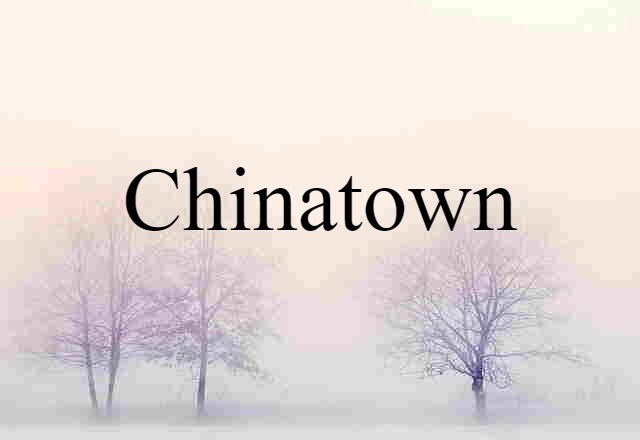 Chinatown (noun) Definition, Meaning & Examples