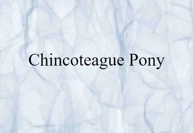 Chincoteague Pony (noun) Definition, Meaning & Examples