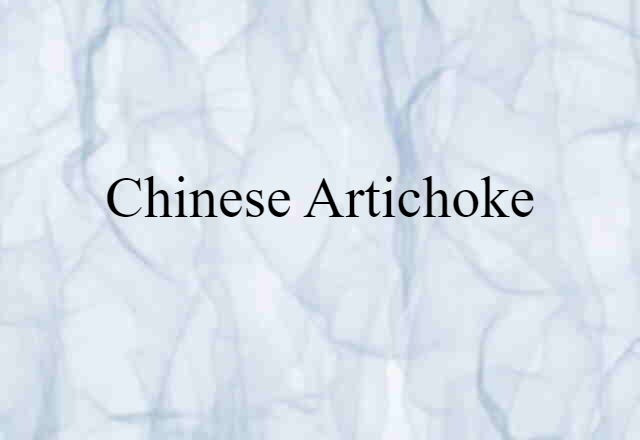 Chinese artichoke