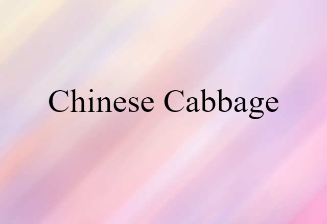 Chinese cabbage