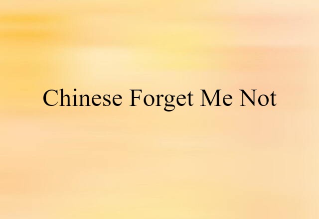 Chinese forget me not