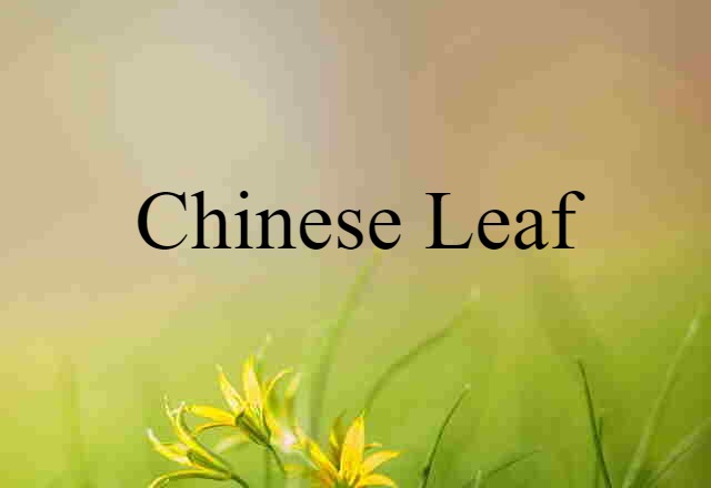 Chinese leaf