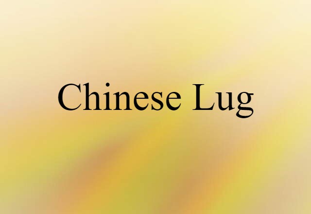 Chinese Lug (noun) Definition, Meaning & Examples