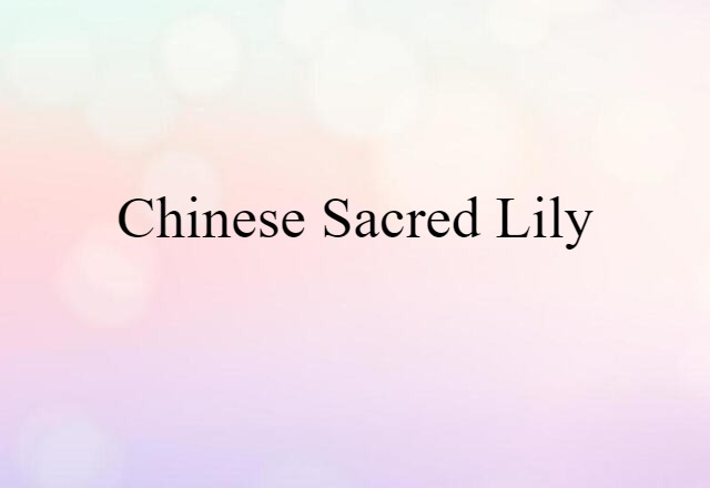 Chinese sacred lily