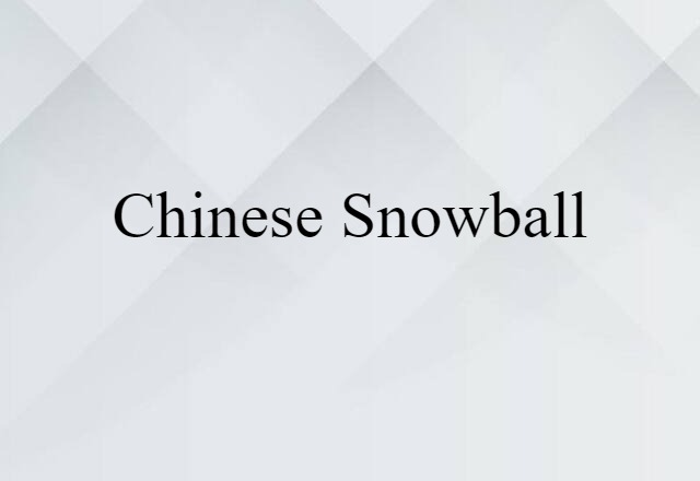 Chinese Snowball (noun) Definition, Meaning & Examples