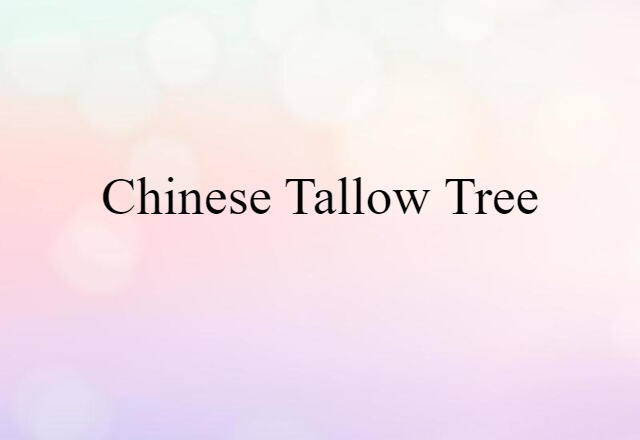 Chinese tallow tree