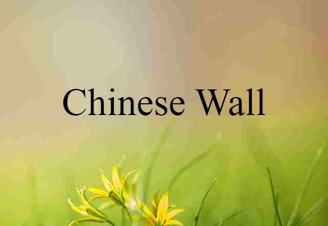 Chinese Wall (noun) Definition, Meaning & Examples