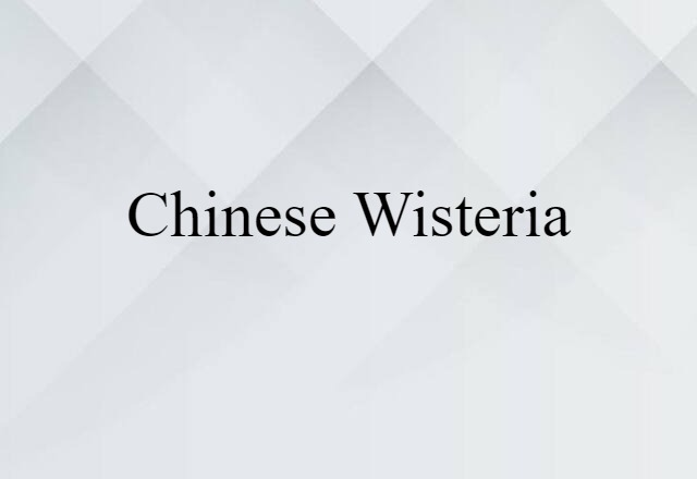 Chinese Wisteria (noun) Definition, Meaning & Examples