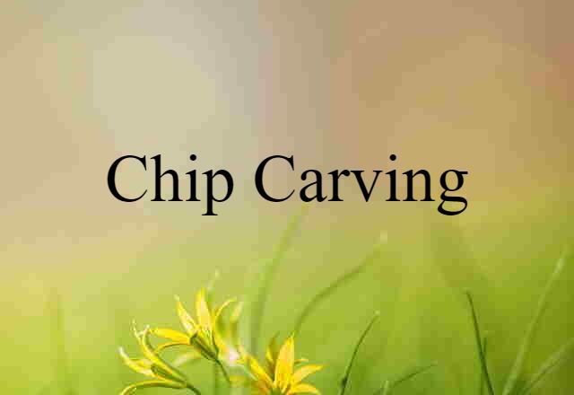 Chip Carving (noun) Definition, Meaning & Examples