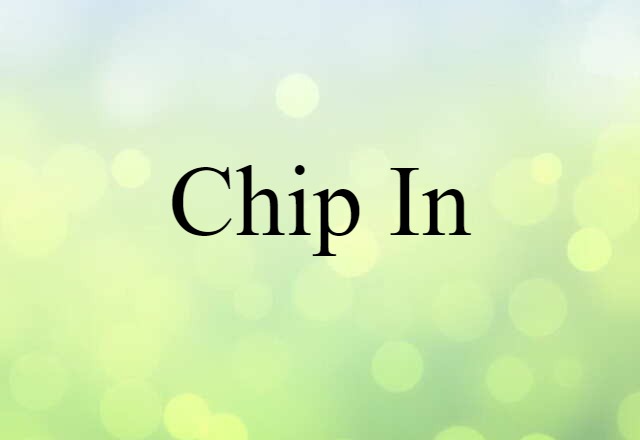 Chip In (noun) Definition, Meaning & Examples