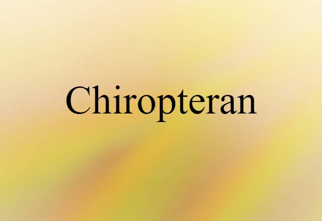 chiropteran