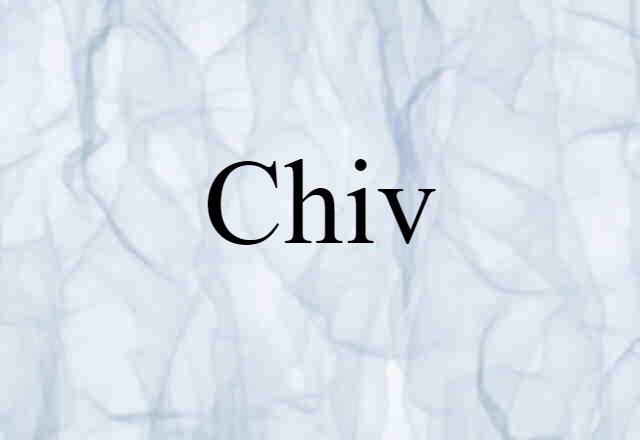 Chiv (noun) Definition, Meaning & Examples