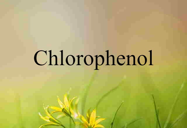 Chlorophenol (noun) Definition, Meaning & Examples