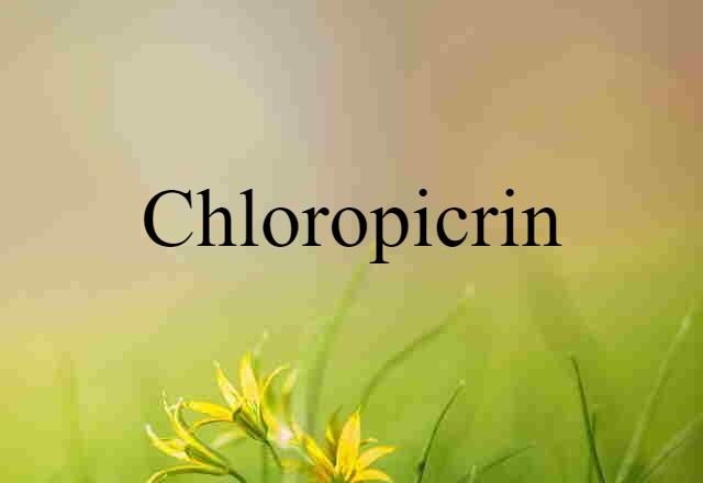 Chloropicrin (noun) Definition, Meaning & Examples