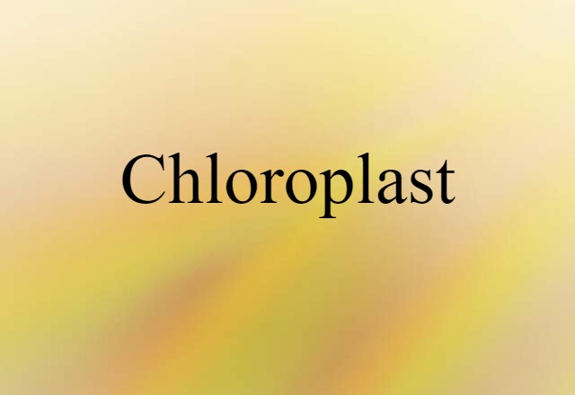 Chloroplast (noun) Definition, Meaning & Examples