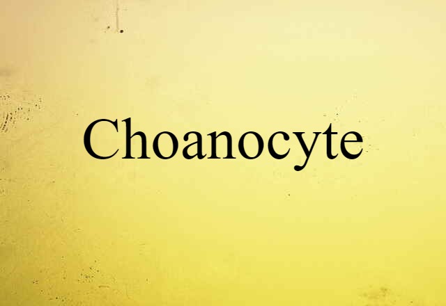 Choanocyte (noun) Definition, Meaning & Examples