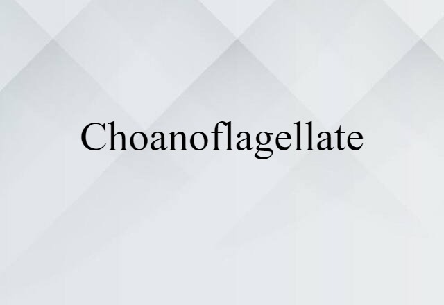 choanoflagellate