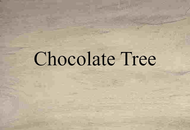 Chocolate Tree (noun) Definition, Meaning & Examples