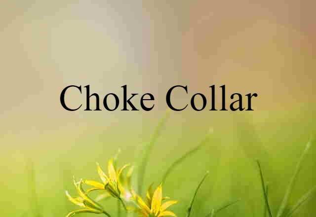 choke collar