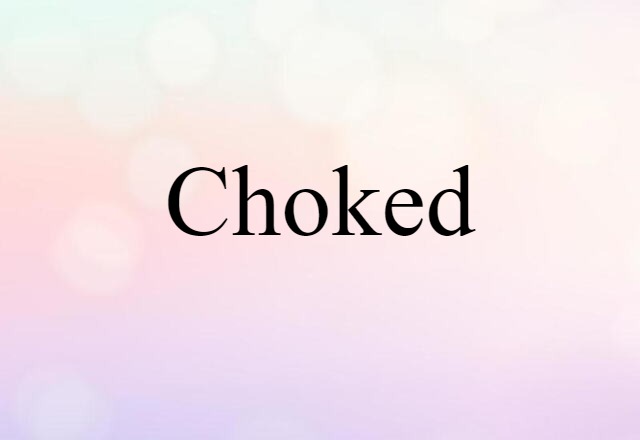 Choked (noun) Definition, Meaning & Examples