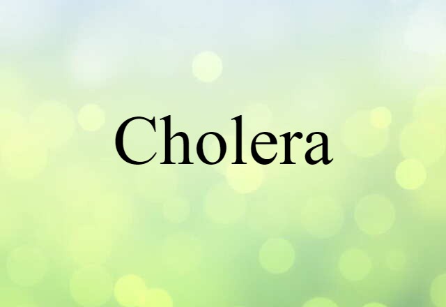 Cholera (noun) Definition, Meaning & Examples