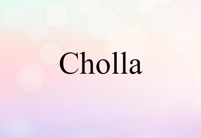 cholla