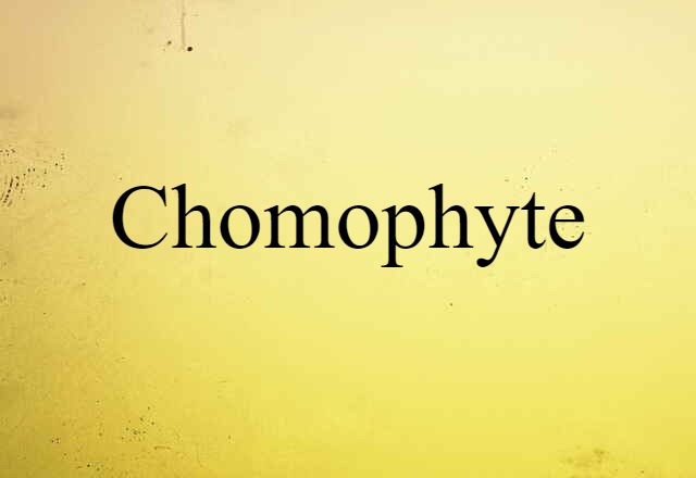 chomophyte