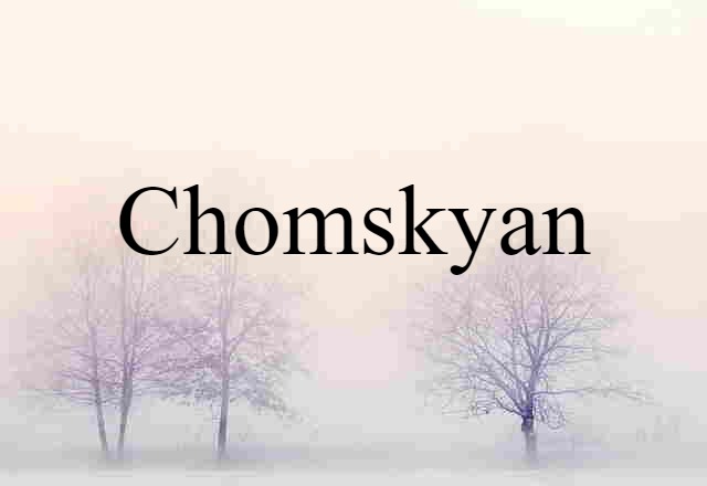 Chomskyan (noun) Definition, Meaning & Examples