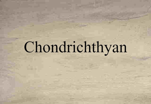 Chondrichthyan (noun) Definition, Meaning & Examples