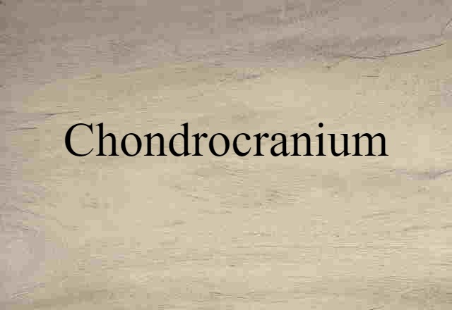 Chondrocranium (noun) Definition, Meaning & Examples