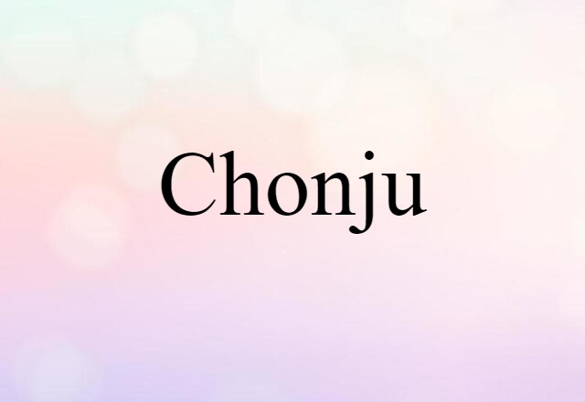 Chonju (noun) Definition, Meaning & Examples