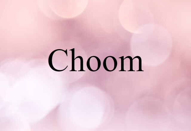 Choom (noun) Definition, Meaning & Examples