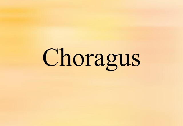 Choragus (noun) Definition, Meaning & Examples