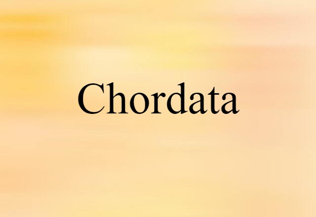 Chordata