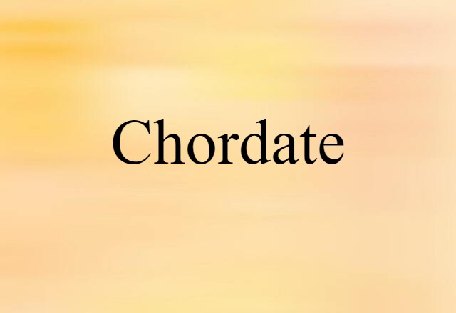 chordate