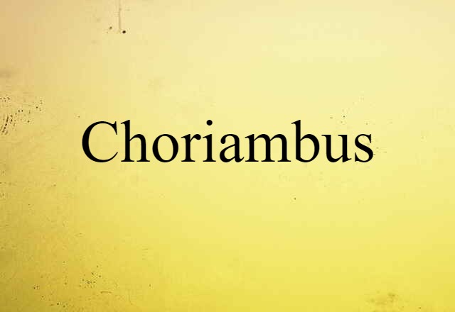 Choriambus (noun) Definition, Meaning & Examples