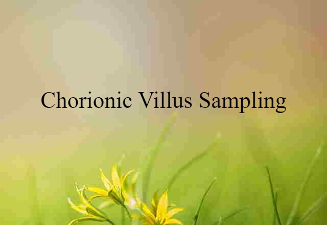 Chorionic Villus Sampling (noun) Definition, Meaning & Examples