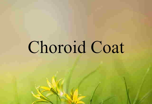 choroid coat