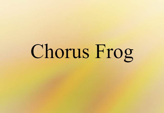 chorus frog