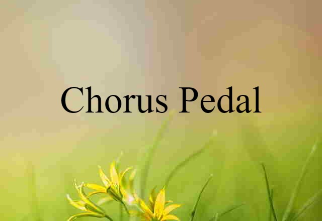 chorus pedal