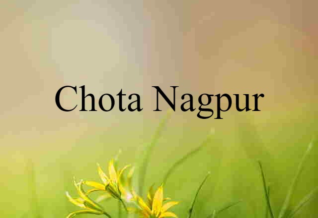 Chota Nagpur