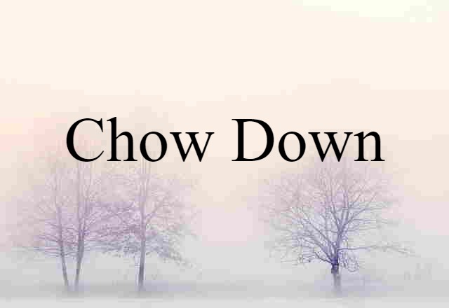 Chow Down (noun) Definition, Meaning & Examples