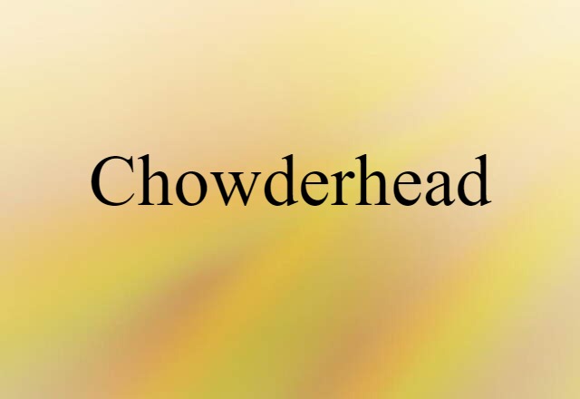 Chowderhead (noun) Definition, Meaning & Examples