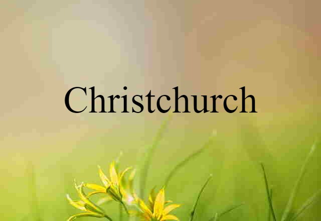 Christchurch (noun) Definition, Meaning & Examples