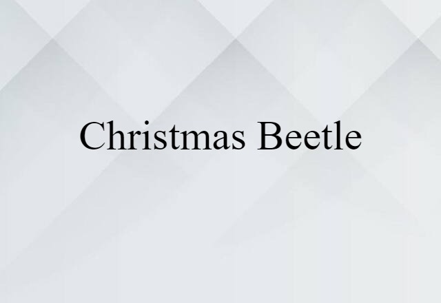 Christmas beetle