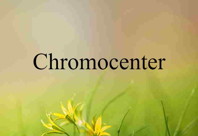 Chromocenter (noun) Definition, Meaning & Examples