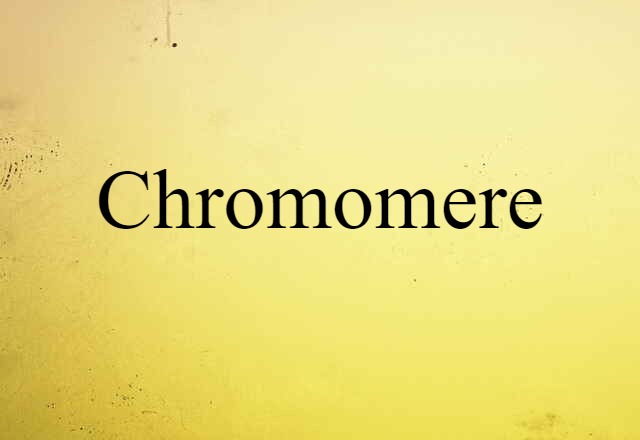 Chromomere (noun) Definition, Meaning & Examples