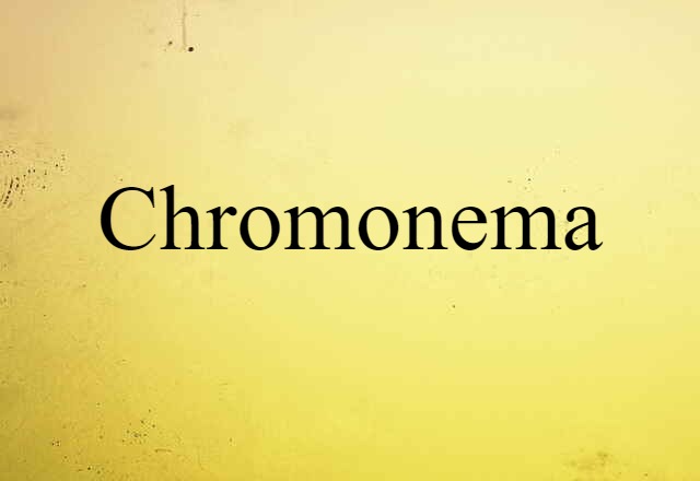 Chromonema (noun) Definition, Meaning & Examples