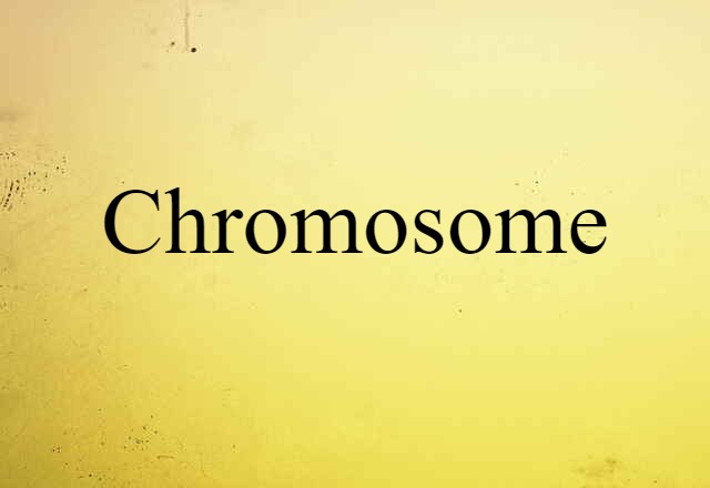 Chromosome (noun) Definition, Meaning & Examples